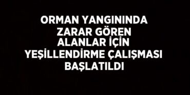 23063256312407930593tasarimli