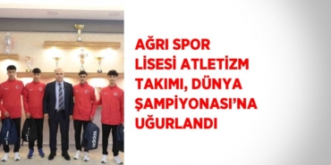 23064258012490630385