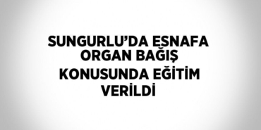 23066317812039122516tasarimli