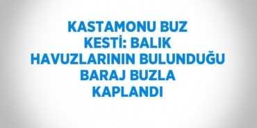 23067249072545131634tasarimli