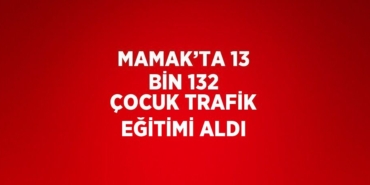 23071245312797920432tasarimli