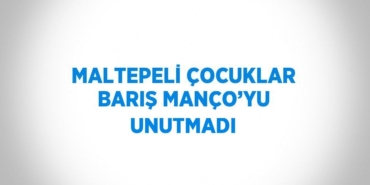 23073248632765421434tasarimli