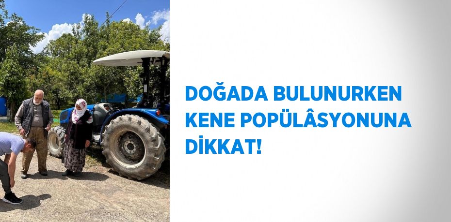 23074277092328221799