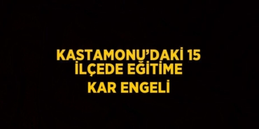 23075236983055626213tasarimli