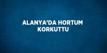 23079212072792130035tasarimli