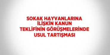 23080266072431128711tasarimli