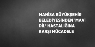 23083283822992922085