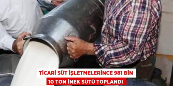 TİCARİ SÜT İŞLETMELERİNCE 981 BİN 10 TON İNEK SÜTÜ TOPLANDI