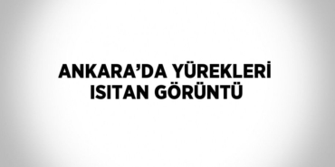 23087202782037329301tasarimli