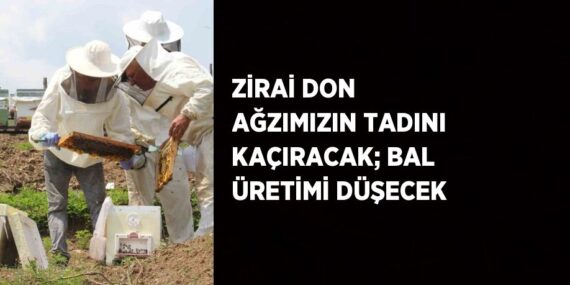 ZİRAİ DON AĞZIMIZIN TADINI KAÇIRACAK; BAL ÜRETİMİ DÜŞECEK