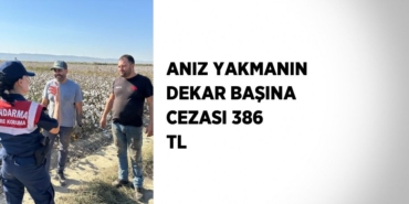23096201902831322139