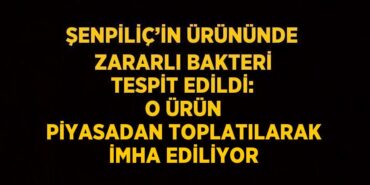 23097255063096331597tasarimli