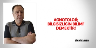 23099204192007820153