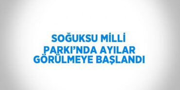 23100244172131624079tasarimli