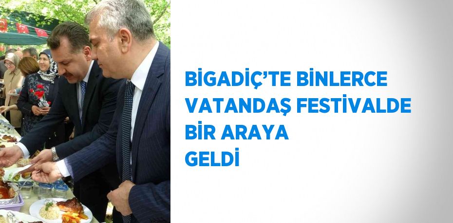 23101225383105927606