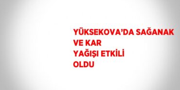 23101230052840224683