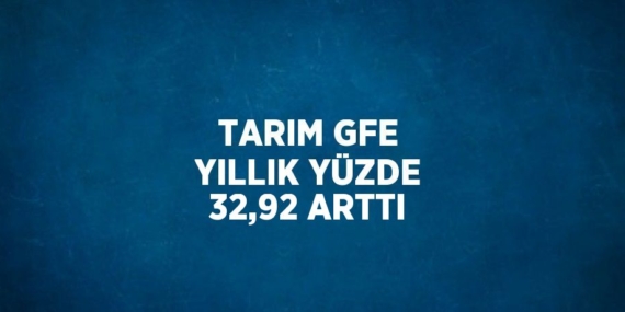 TARIM GFE YILLIK YÜZDE 32,92 ARTTI