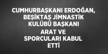 23105228172738725538tasarimli