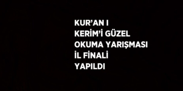 23116300313190323257