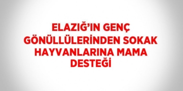 23119302433155824837tasarimli