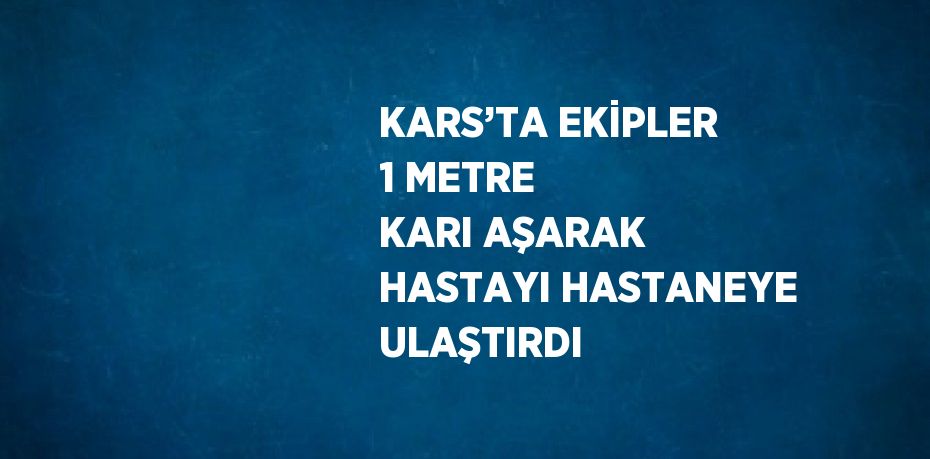 23124262802212221229