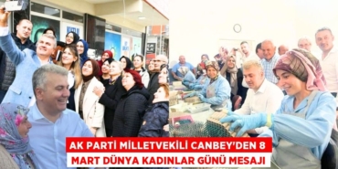 23129236452379522121tasarimli