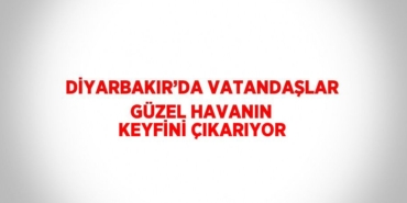 23132298582248624866tasarimli