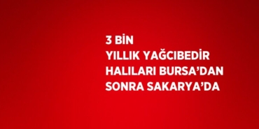23133221922294428075