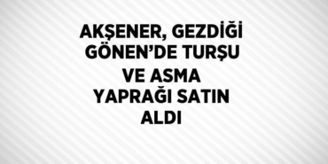 23141209632711722899tasarimli