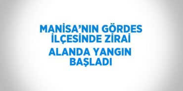 23143285623031922729tasarimli