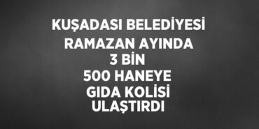 23146284412734729630tasarimli