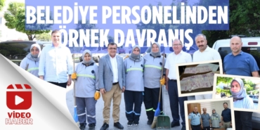 23151281893054729720