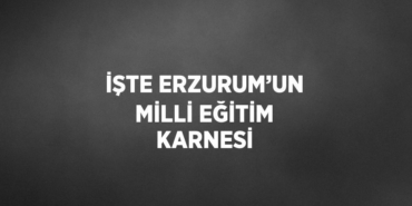 23153314352871025426tasarimli
