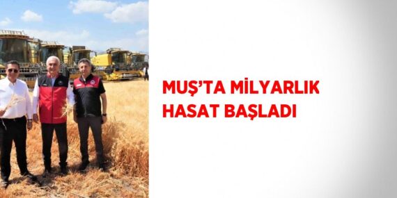 MUŞ’TA MİLYARLIK HASAT BAŞLADI