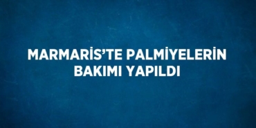 23155277302167622090tasarimli