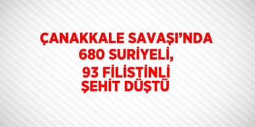 23157282082344730696tasarimli