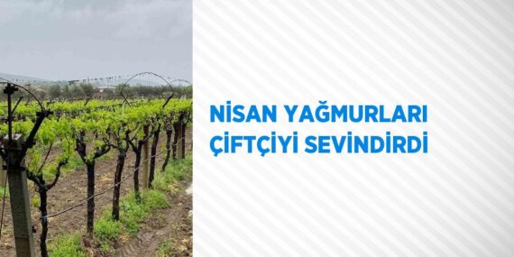 NİSAN YAĞMURLARI ÇİFTÇİYİ SEVİNDİRDİ
