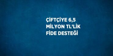 23168207112906731721