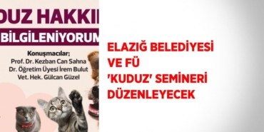 23168301682041723618