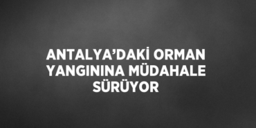 23174260452385523494tasarimli