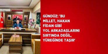 23177231292216126233