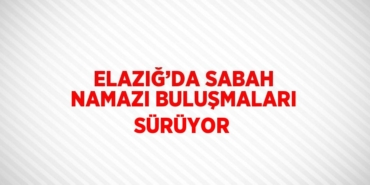 23177278512029629855tasarimli