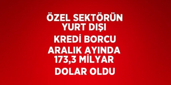 ÖZEL SEKTÖRÜN YURT DIŞI KREDİ BORCU ARALIK AYINDA 173,3 MİLYAR DOLAR OLDU