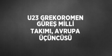 23189316602652828040tasarimli
