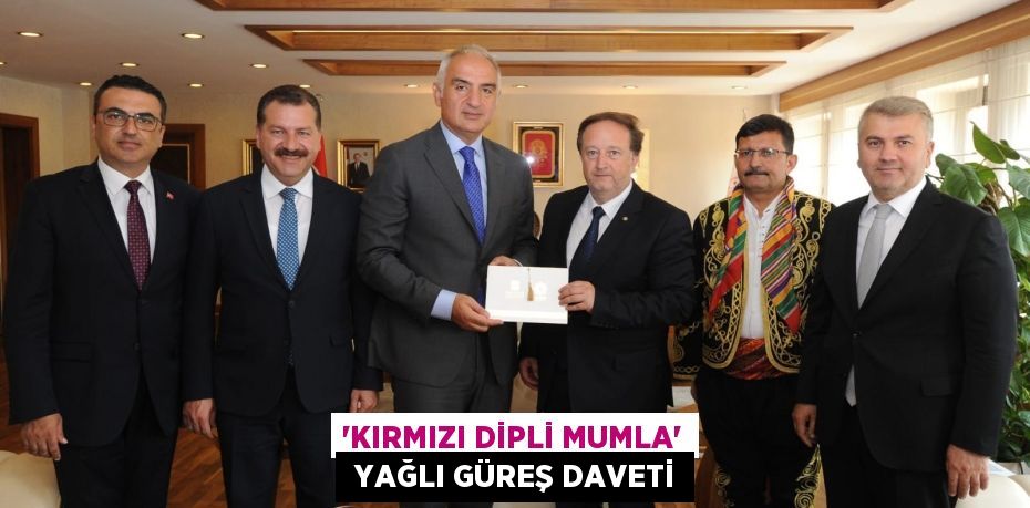 23191265523111026992tasarimli