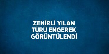 23193271943165629672tasarimli