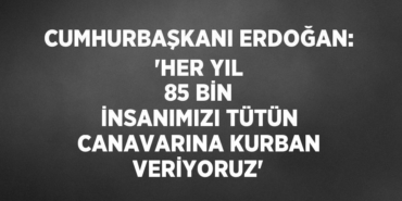 23198254113191028741tasarimli