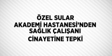 23208267112221827163tasarimli