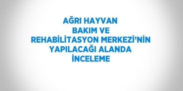 23218293622699425132tasarimli