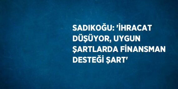 SADIKOĞU: ‘İHRACAT DÜŞÜYOR, UYGUN ŞARTLARDA FİNANSMAN DESTEĞİ ŞART’
